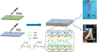 Strong Adhesion Of Hydrogels By Polyelectrolyte Adhesives