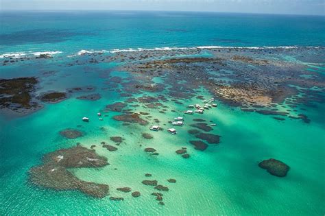 Piscinas Naturais Do Nordeste Pra Voc Se Sentir No Caribe