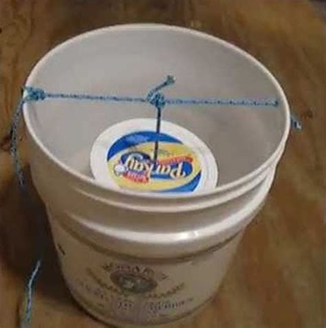 5 DIY Bucket Mouse Traps You Can Make Today House Grail