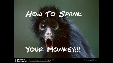 Girls Spank The Monkey Porno Photo Comments 1