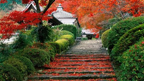 japanese autumn leaves (3) - Living + Nomads – Travel tips, Guides ...