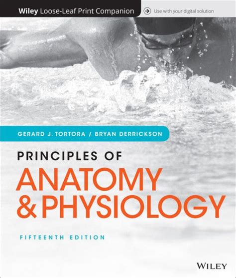 Principles Of Anatomy And Physiology Edition 15 By Gerard J Tortora