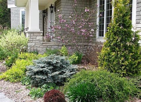 Related Image Evergreen Landscape Evergreen Foundation Planting Landscaping Around House