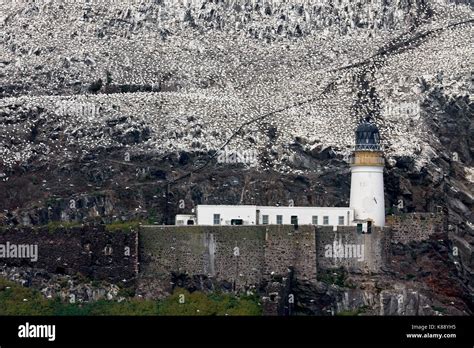 Bass Rock Lighthouse Scotlanduk Stock Photo Alamy