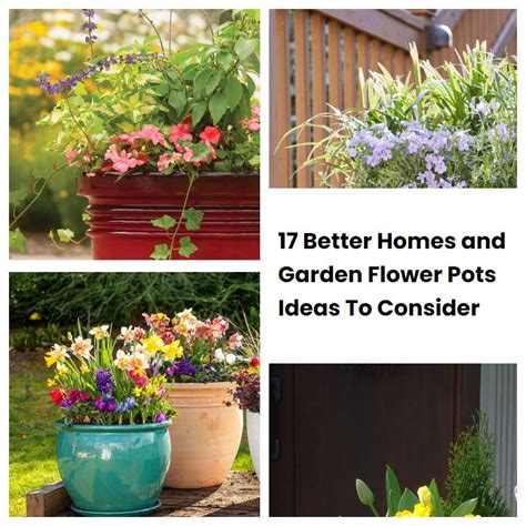 Better Homes And Garden Flower Pots Ideas To Consider Sharonsable