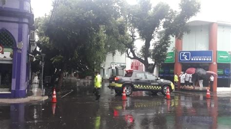 Rvore Tomba Durante Chuva E Deixa Ruas Dos Centro De Manaus Sem