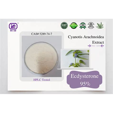 Cyanotis Extract Ecdysterone Natural Ecdysone Cyanotis Extract