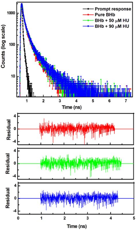 Time Resolved Fluorescence Decay Profile Of 5 Mm Bhb In Absence Red Download Scientific