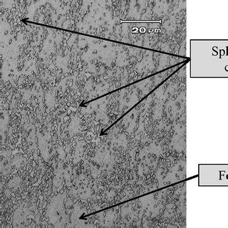 Microstructure of martensitic stainless steel DIN 1.4110 after ...