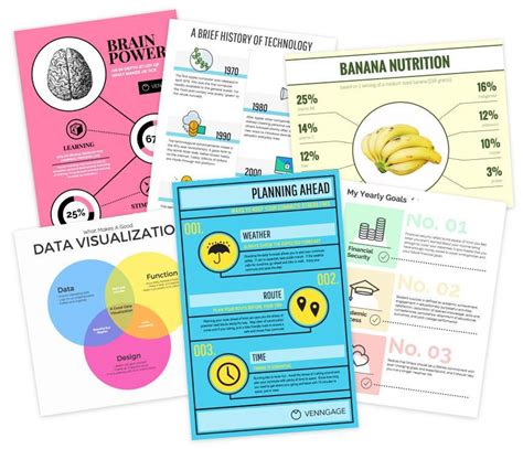 Venngage Création Dinfographies Infographic Creator Infographic