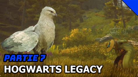 Rencontre Avec Un Hippogriffe Hogwarts Legacy Partie Youtube