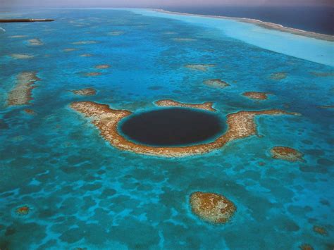 Belize Barrier Reef Animals | ... Reef Atoll, a nearly perfect circle ...
