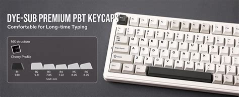 Amazon EPOMAKER X Aula F Wireless Mechanical Keyboard Hot Swappable Gasket Custom Gaming