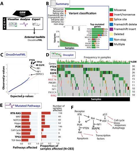 Identifying Putative Oncogenes In A Glioblastoma Gbm Cohort Using