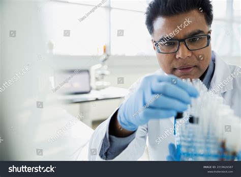 Scientist Examining Test Tubes Tray Stock Photo 2219626587 Shutterstock