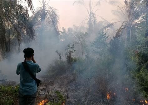 Musim Kemarau Polda Riau Antisipasi Ancaman Karhutla