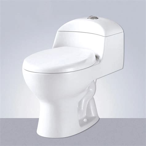 Wc Sanitary Ware Siphonic S Trap Mm Pp Soft Close Seat One Piece