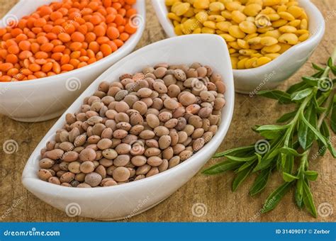 Different types of lentils stock image. Image of lentils - 31409017