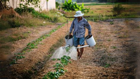 Why A Food Secure Future Means Focusing On Smallholder Farmers