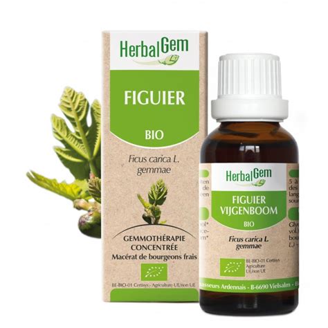 Figuier Macérat de Bourgeons BIO Herbalgem