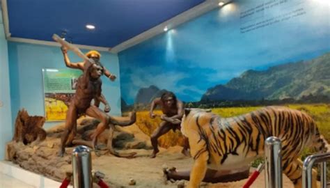 Sejarah Museum Fosil Sangiran Menyelami Jejak Manusia Purba Di