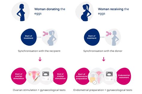 Ivf Treatment For Lesbians Lgbt Fertility Centre Near Me Psfc