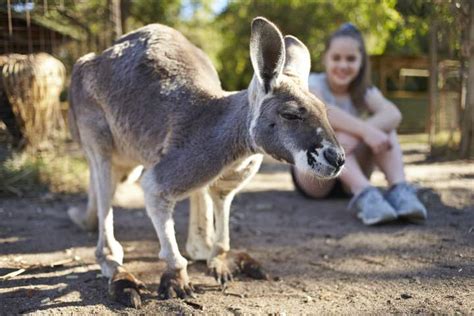 Caversham Wildlife Park - Whiteman Park