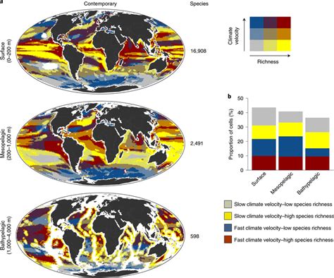 The Relationship Between Contemporary Climate Velocity And Marine