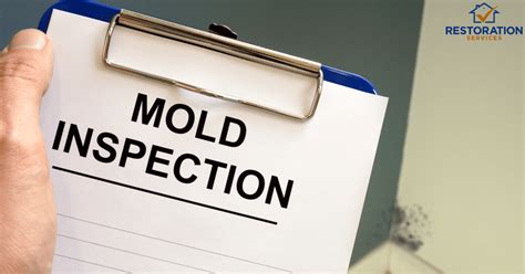 Mold Inspection Every Detail About The Process You Must Know