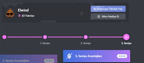 Z Ld Discord Nitro Classic Ile Sunucu Takviyesi Yap L R M