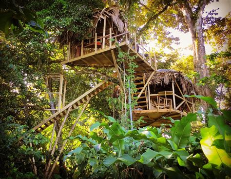 Spend A Night In An Incredible Tree House In Panama Jungle House