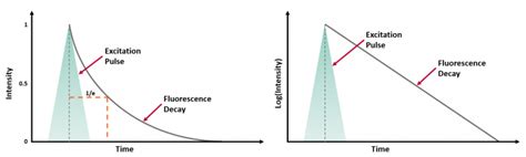 How To Determine Fluorescence Lifetimes Fluorescence Fitting