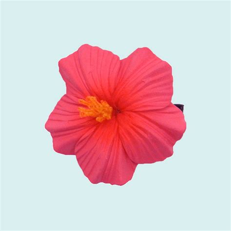 Frangipanier Rose Sur Pince Pin Tahiti Shop Importation De