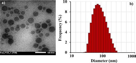 Synthesis Of A Novel Nanocarrier System Based On Fucoidan Conjugated