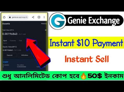 10 Instant Payment Genie Exchange আগন অফর New Exchange