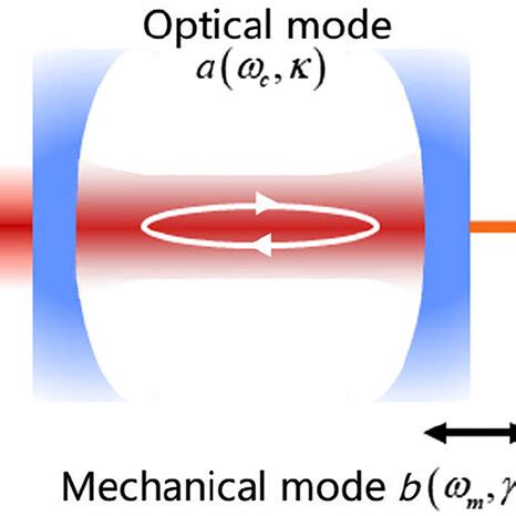 PDF Cavity Optomechanical Sensing