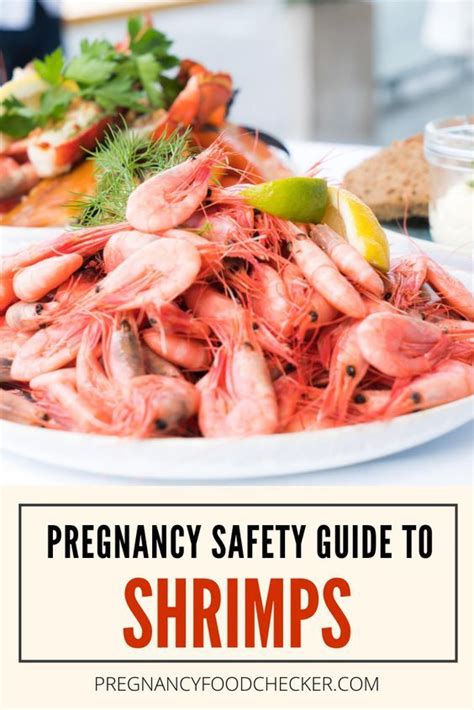 Can You Eat Prawns When Pregnant Alpinemoms