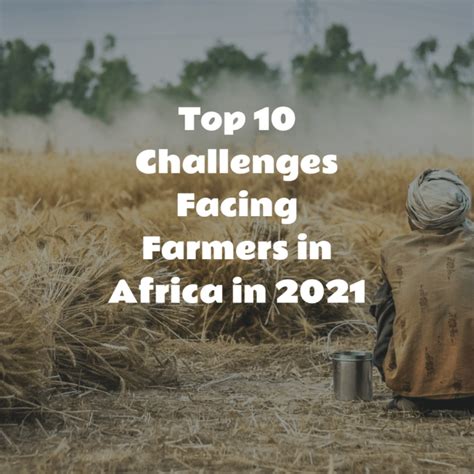 Top 10 Challenges facing Farmers in Africa in 2021 - Africa Farming