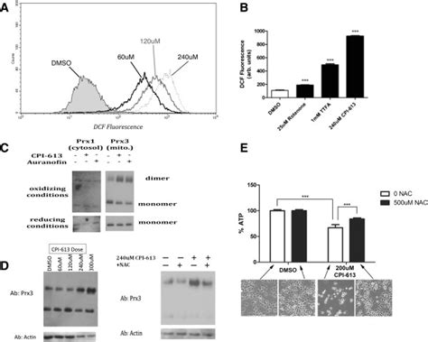 Cpi 613 Induces A Strong Mitochondrial Burst Of Reactive Oxygen Species