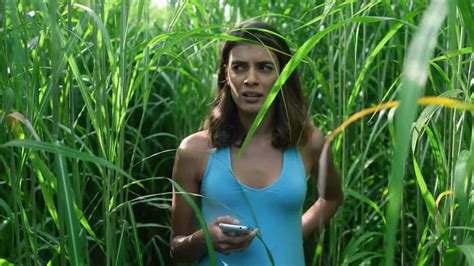 In The Tall Grass Review Is the Netflix Horror Worth Watching?