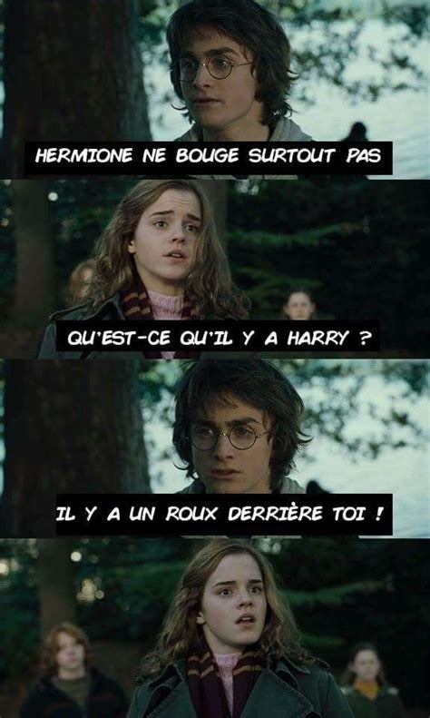 Funny Harry Potter Memes Humor Funny Harry Potter Memes Blague Pour