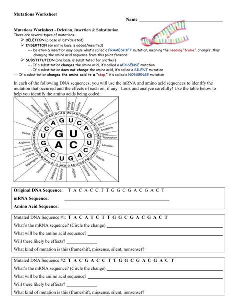 Laney Lee Mutations Answer Key Dna Mutations Worksheet Answe