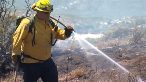 Dale Play ¿cómo Prevenir Los Incendios Forestales En California