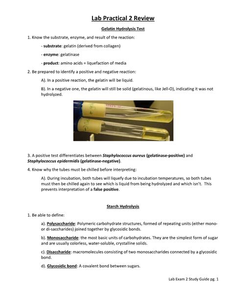 Lab Practical Detailed Review Lab Practical Review Gelatin