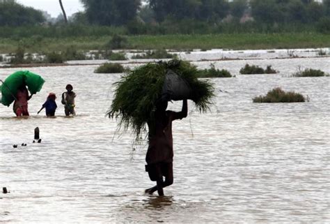 Las inundaciones en Pakistán dejan más de 800 muertos y millones de