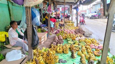 Pemkab Trambrauw Bentuk Kelompok Tani Pisang Dan Keladi Ini Tujuannya