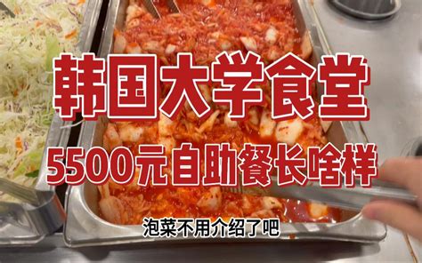 韩国大学食堂5500元能吃什么？报复性加菜的一天！ 堂堂伞某人 堂堂伞某人 哔哩哔哩视频