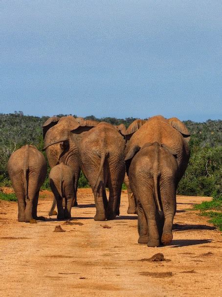 Viaggio In Sudafrica Itinerario Di Giorni Tra Citt E Natura