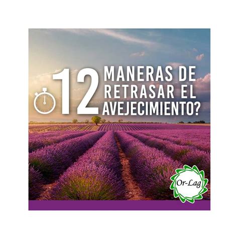 12 Maneras De Retrasar El Envejecimiento Or Lag