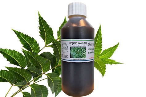 Pure Organic Neem Oil Natural Insect Repellent Etsy